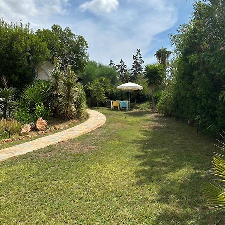 Micasa Ibiza Villa San Antonio  Exteriör bild