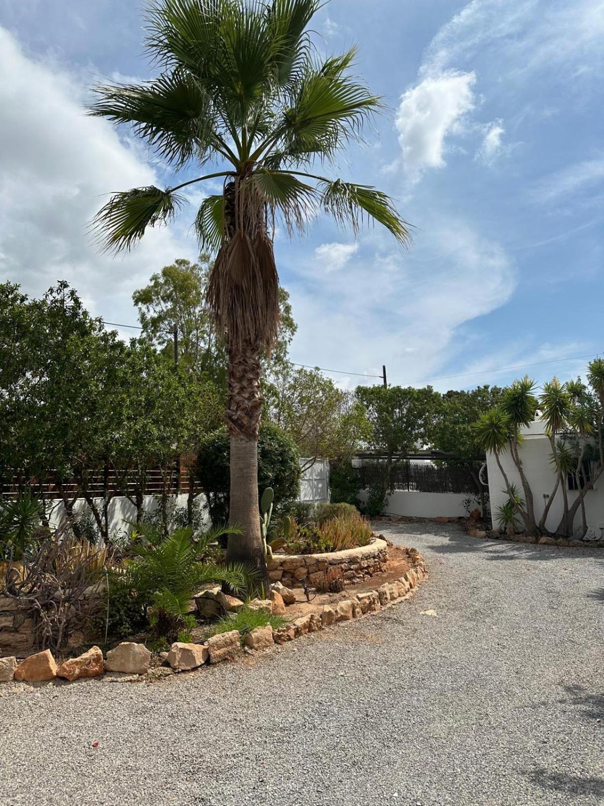 Micasa Ibiza Villa San Antonio  Exteriör bild