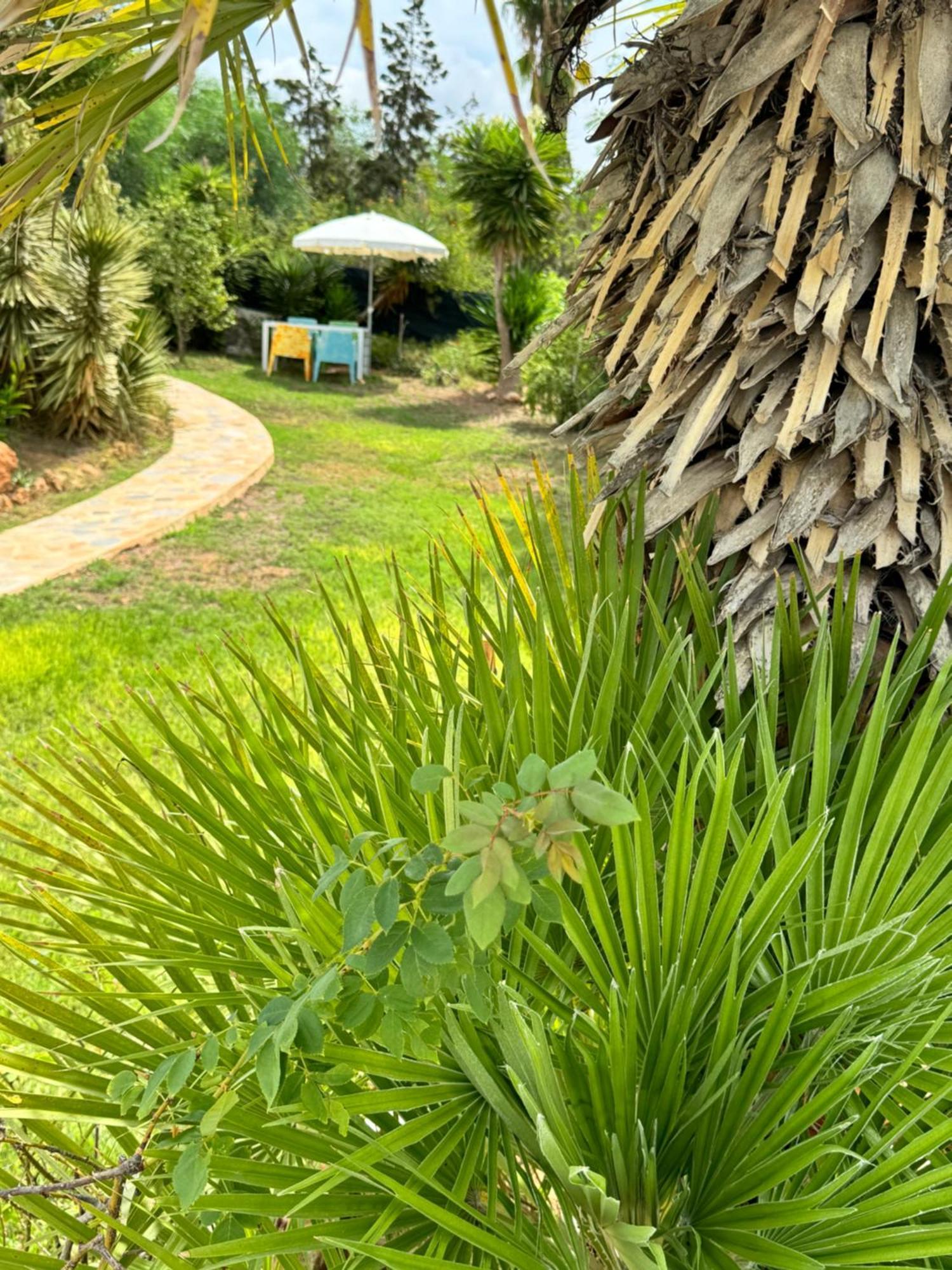 Micasa Ibiza Villa San Antonio  Exteriör bild