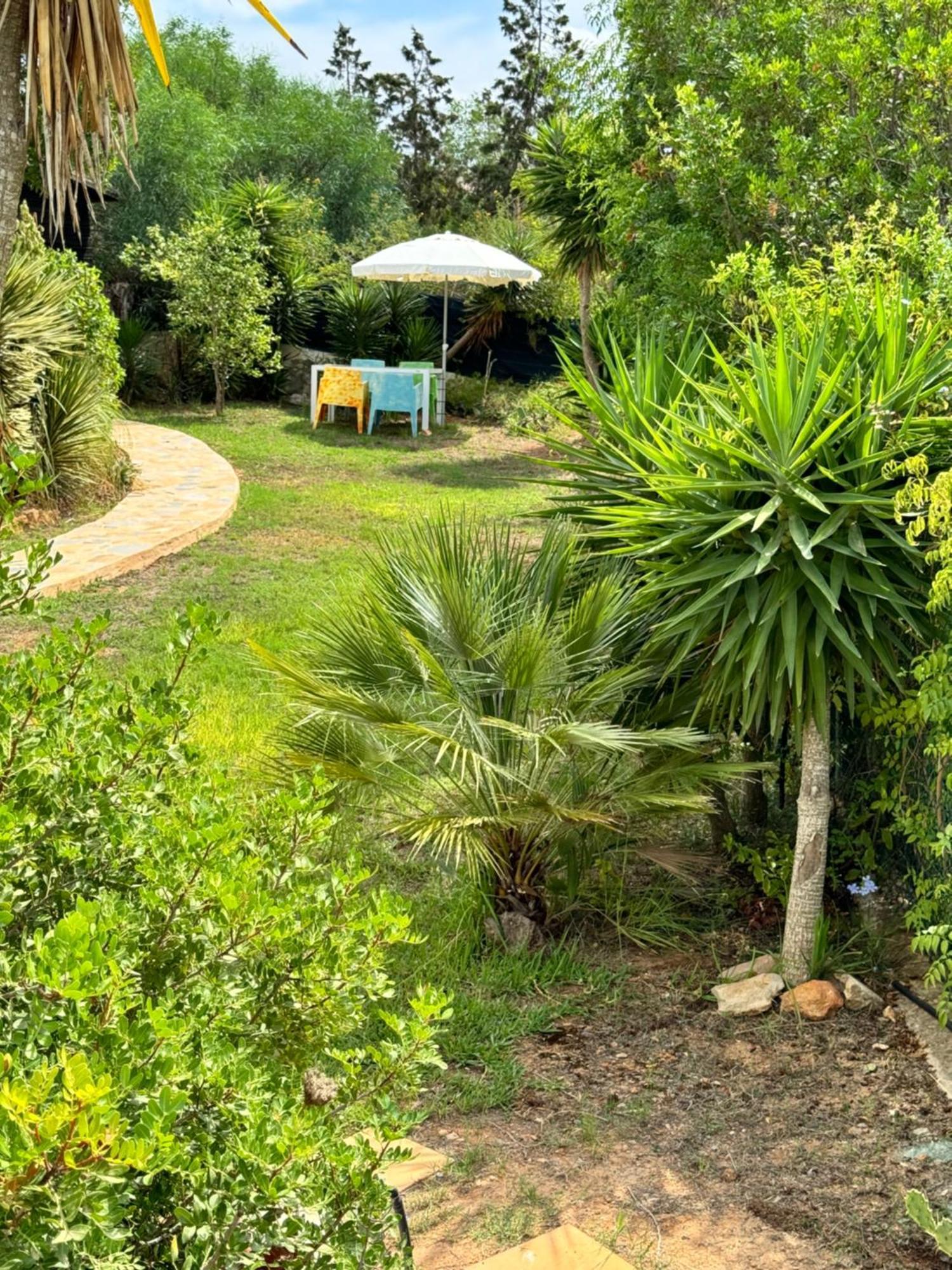Micasa Ibiza Villa San Antonio  Exteriör bild