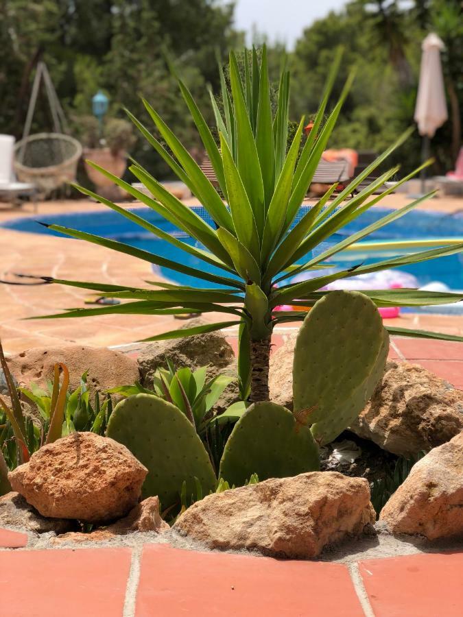 Micasa Ibiza Villa San Antonio  Exteriör bild